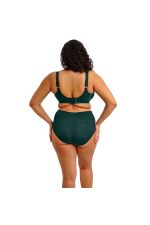 Elomi Cate Allure Full Brief - Deep Emerald