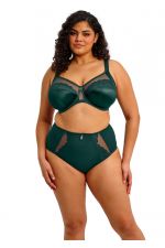 Elomi Cate Allure Full Brief - Deep Emerald