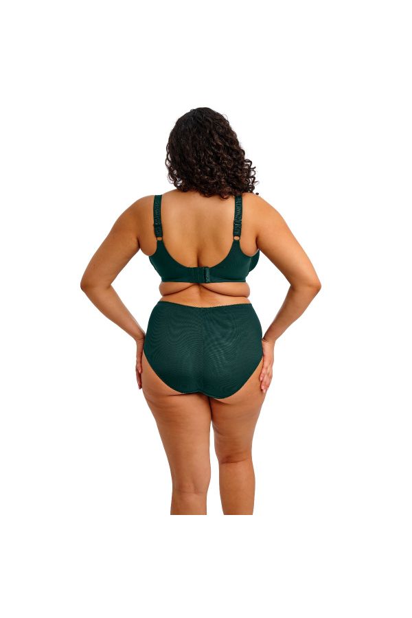 Elomi Cate Allure Full Cup Banded Bra - Deep Emerald